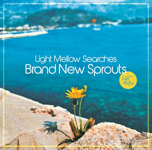 Light Mellow金澤寿和に聞くAOR新潮流――マーティン&ガープら欧州の動向