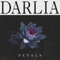 ダーリア 『Petals』 ノエル所属のイグニションが手掛ける4人組、エモい歌メロ×UKハード・サイケな演奏がユニークな初EP