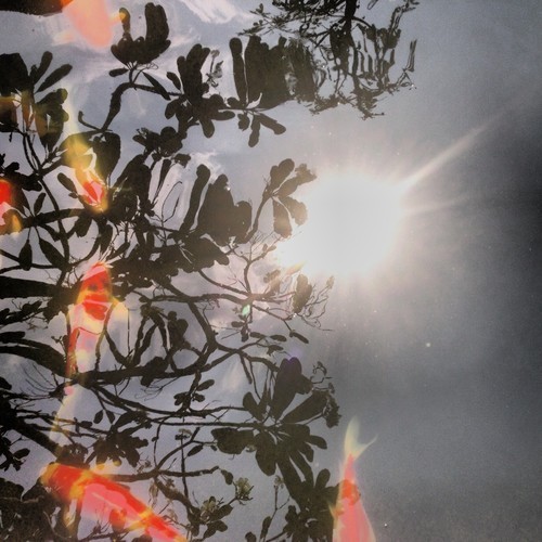 ジャズ ピアニストのアーロン パークス Fbの1万 いいね を記念して新バンドでのセッション音源公開 Mikiki