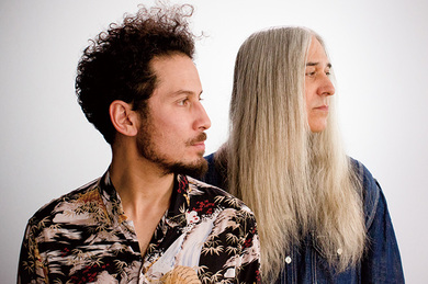 ヤング・ガン・シルヴァー・フォックス（Young Gun Silver Fox