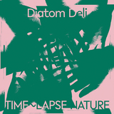 ダイアトム・デリ（Diatom Deli）『Time~Lapse Nature』気鋭レーベルRVNGに見出された才能による幻想的なアンビエントフォーク