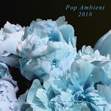 VA 『Pop Ambient 2018』 オーブからYui Onodera、KAITOことHIROSHI WATANABEらが参加したコンパクトのコンピ・シリーズ新作