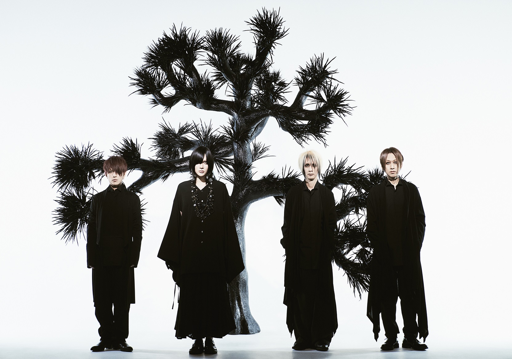 Plastic Tree まとめ売り 23枚！希少な廃盤有り！ Plastic Treeのアルバム売上TOP20作品 | ORICON NEWS