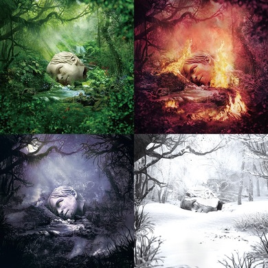 img_1bbefe7ba55f56f1143f6f2231