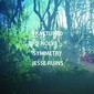 Jesse Ruins 『Fractured Holy Symmetry』