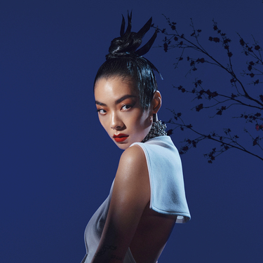 Rina Sawayama LP×2、12EP×１ リナ・サワヤマ www.sudouestprimeurs.fr