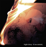 Night Glory『if one mislaid,』切ないメロディーと轟音が素晴らしい岡崎発のピアノロック／シューゲイザーバンドによる初フルアルバム