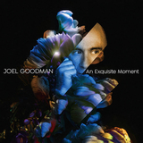 ジョエル・グッドマン（Joel Goodman）『An Exquisite Moment』ダニー・マッキャスリンらNYシーンの実力者と作り上げた異色のコンテンポラリージャズ作