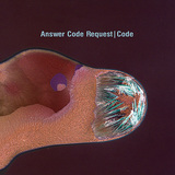 ANSWER CODE REQUEST 『Code』