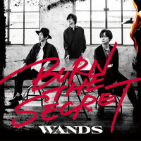 WANDS『BURN THE SECRET』柴崎浩、木村真也、上原大史に訊く21年振りオリジナル・アルバムの制作工程 | Mikiki by  TOWER RECORDS