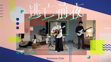 シャムキャッツが新作から“逃亡前夜”のMVを公開 | Mikiki by TOWER RECORDS