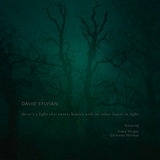 デヴィッド・シルヴィアン（David Sylvian）『There’s A Light That Enters Houses With No Other House In Sight（いくつかの家に射し込む光）』新作はUSの詩人フランツ・ライトとの独創的コラボ作　フェネスらも参加