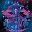 【未使用】堂本剛さん 紫 限定服 カード付き 参加した推し活イベント名】 ENDRECHERI FUNK LIVE2022 【参加