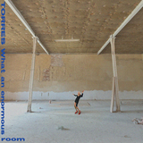 トレス（Torres）『What An Enormous Room』ファンキーなリズムを新たに追加、伝統的なフォークの影響を音像に落とし込んだ6作目