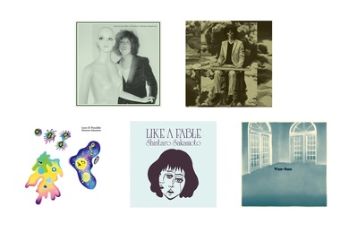 坂本慎太郎の音楽をいま聴くということ――『幻とのつきあい方』から