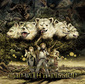 MWAMやリンプ、DAなど、KOMのファウンデーションに繋がるディスクガイド―KNOCK OUT MONKEY『Mr.Foundation』 Part.2