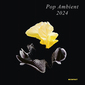 VA『Pop Ambient 2024』ウォルフガング・フォイト厳選の15曲を収録、シーンの趨勢を占う恒例コンピの2024年版