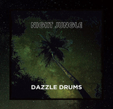 ダズル・ドラムス（Dazzle Drums）『NIGHT JUNGLE』密林の宴のように力強いアフロ・ハウス系トラックの数々