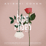 アヴィシャイ・コーエン（Avishai Cohen）『Two Roses』マーク・ジュリアナを交えフル・オーケストラと共演した圧倒的大作
