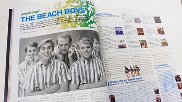 パノラマ音楽奇談】第6回 ビーチ・ボーイズは『Pet Sounds』だけじゃない。85年の極私的名盤『The Beach Boys』を紹介 |  Mikiki by TOWER RECORDS