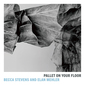 ベッカ・スティーヴンス&イーラン・メーラー（Becca Stevens & Elan Mehler）『Pallet on Your Floor』優しいピアノの音で際立つ声の説得力