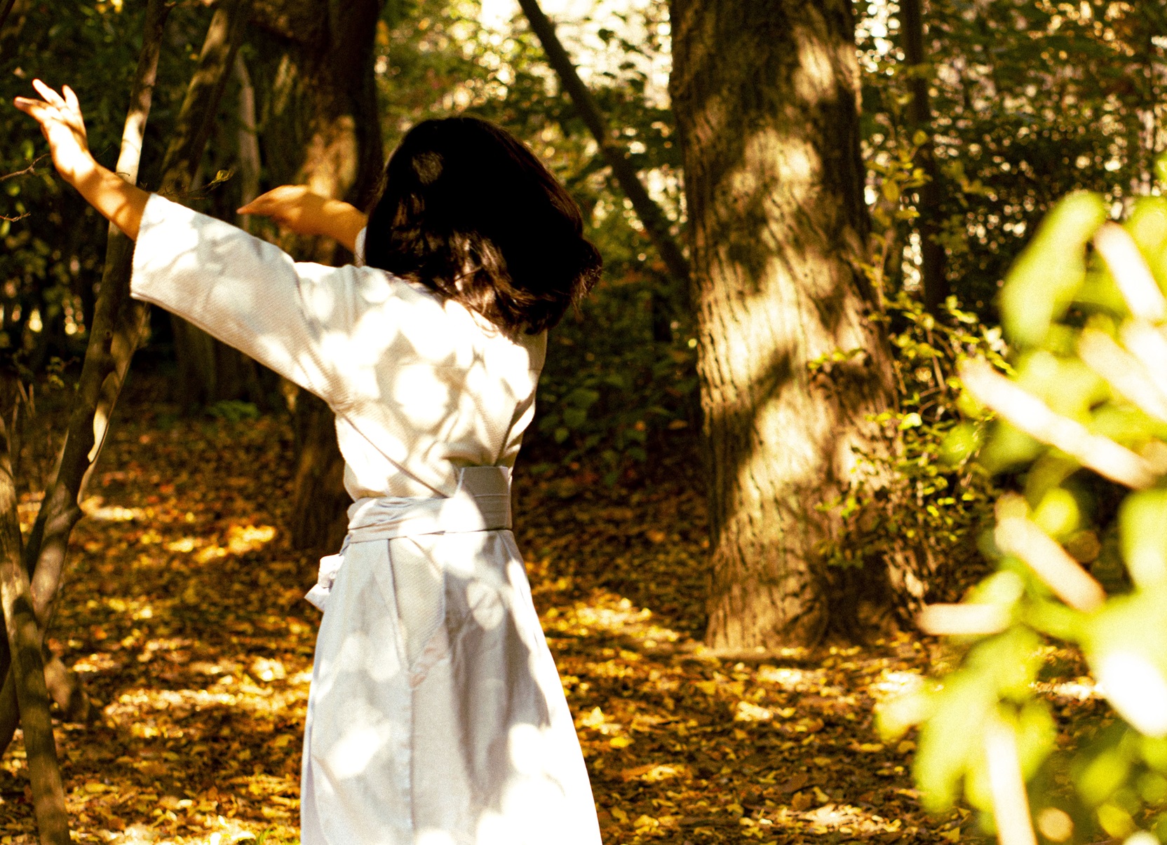 img_5fbab727caa07222ddd4711c02