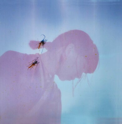 Luminescent Creatures 青葉市子 セミダブルジャケット仕様 青葉市子が掬いあげた音楽という生き物に触れて――海の気配に満ちた最新