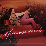 ダレン・ヘイズ（Darren Hayes）『Homosexual』元サヴェージ・ガーデンのポップスターが85～87年の記憶にインスパイアされたダンスポップ
