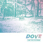 I Saw You Yesterday 『Dove』 東京発4人組の初フィジカル作は、リヴァーブ過多なサーフ・ポップをキャッチーに昇華