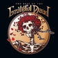 グレイトフル・デッドの長く奇妙な旅 / Grateful Dead's Long, Strange Trip