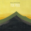 Bialystocks『Tide Pool』〈秦基博が中村佳穂バンドのアレンジで