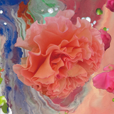 コニック・ローズ（Conic Rose）『Heller Tag』ベルリンの一線級プレイヤー5人によるカテゴライズ不能なジャズやポストロックのクロスオーバーサウンド