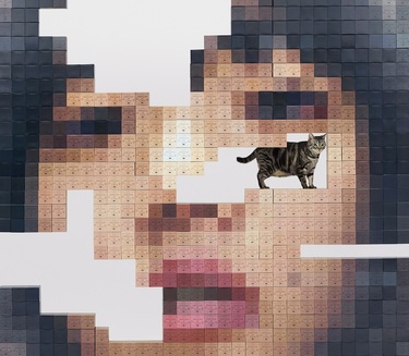猫にジェラシー　あいみょん　新品　未開封　初回　アルバム　CD あいみょん、ニューアルバム『猫にジェラシー』リリース決定