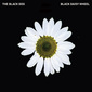 ブラック・ドッグ 『Black Daisy Wheel』『Post-Truth』 UKテクノ大御所が新作を2枚同時リリース