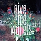 give me wallets、本日到着の初EP『In My Dreams』より80sフレイヴァー溢れる表題曲のPV公開