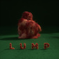 ランプ『Lump』ローラ・マーリングの歌に新たな表情、タン／スロウズのマイク・リンゼイとのお披露目盤