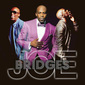 JOE 『Bridges』 円熟の境地と呼ぶにふさわしいエレガントなR&Bが目白押しの11枚目