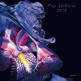 VA 『Pop Ambient 2020』 看板コンピ20作目には、日本人アーティストのユイ・オノデラも初参加