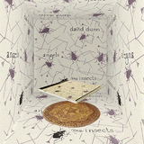 デヴィッド・ダン（David Dunn）『天使と昆虫』人間に聴こえない水棲昆虫の発する音の再現と天使の言葉＝エノク語をもとに作曲した声の作品