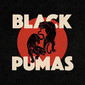 ブラック・ピューマズ 『Black Pumas』 エイドリアン・ケサダが新進シンガーのエリック・バートンと組んで放った渋色ソウル・アルバム