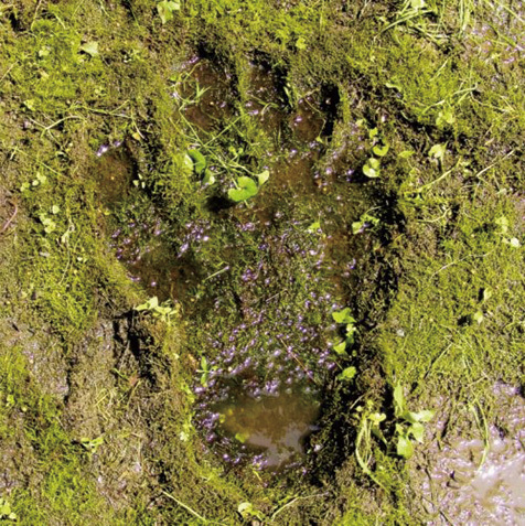 ザ・クロマニヨンズが新作『JUNGLE 9』に辿り着くまでの全オリジナル