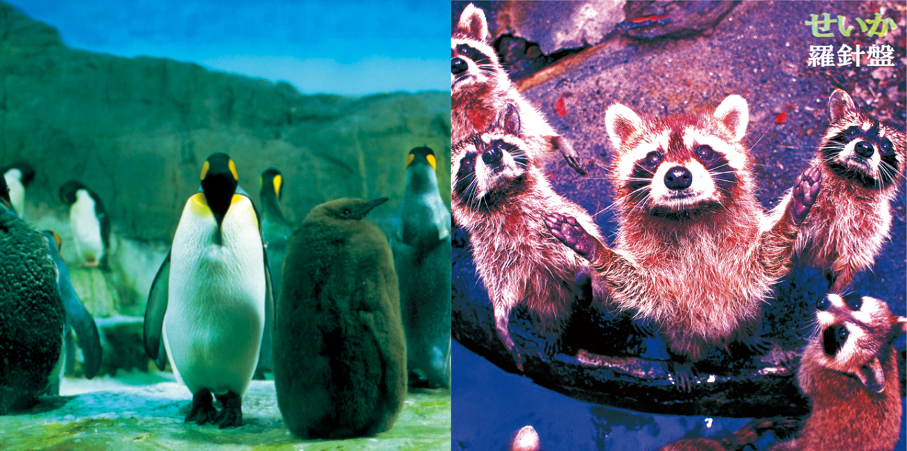 山本精一のフォークロックバンド羅針盤、90年代の名盤『らご