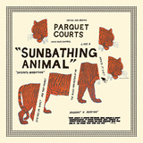 PARQUET COURTS 『Sunbathing Animal』