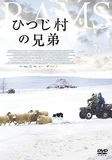 カンヌ映画祭〈ある視点部門〉グランプリ受賞、40年間口をきかない兄弟が羊を通して互いを認め合うアイスランド映画「ひつじ村の兄弟」がソフト化
