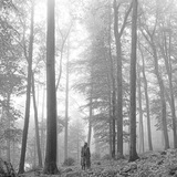 テイラー・スウィフト（Taylor Swift）がニュー・アルバム『folklore』をサプライズ・リリース