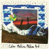 Calm 『By Your Side -Mellow Mellow Acid Versions & Remixes』 音と溶け合う最高のトリップに誘うリミックス盤