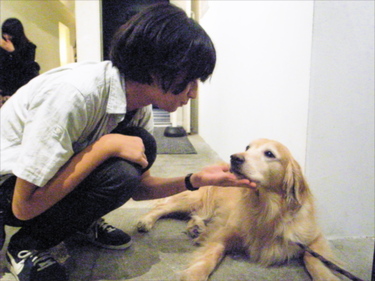 送料込　昆虫キッズ  Around  KYOTO  自主盤CD-R　新品 送料込 昆虫キッズ Around KYOTO 自主盤CD-R 新品 送料込 昆虫キッズ