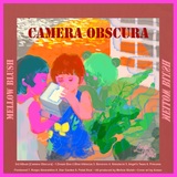ロンドン在住ベッドルーム音楽家、Mellow Blushのアルバム『Camera Obscura』がLocal Visionsからリリース
