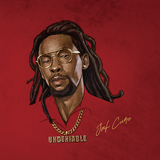 ジャー・キュア（Jah Cure）『Undeniable』哀切を極めたコクのある歌は不変　不屈のレゲエシンガーが収監前に制作していたアルバム