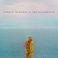 ANDREW McMAHON IN THE WILDERNESS 『Andrew McMahon In The Wilderness』 甘酸っぱいピアノ・エモ健在な新作
